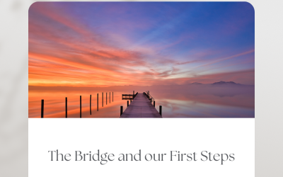 The Bridge and Our First Steps